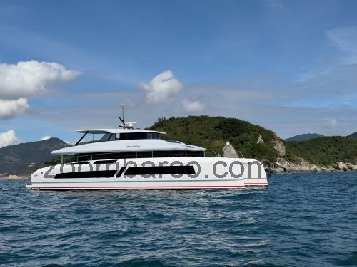 McConaghy MC82P ficha tecnica